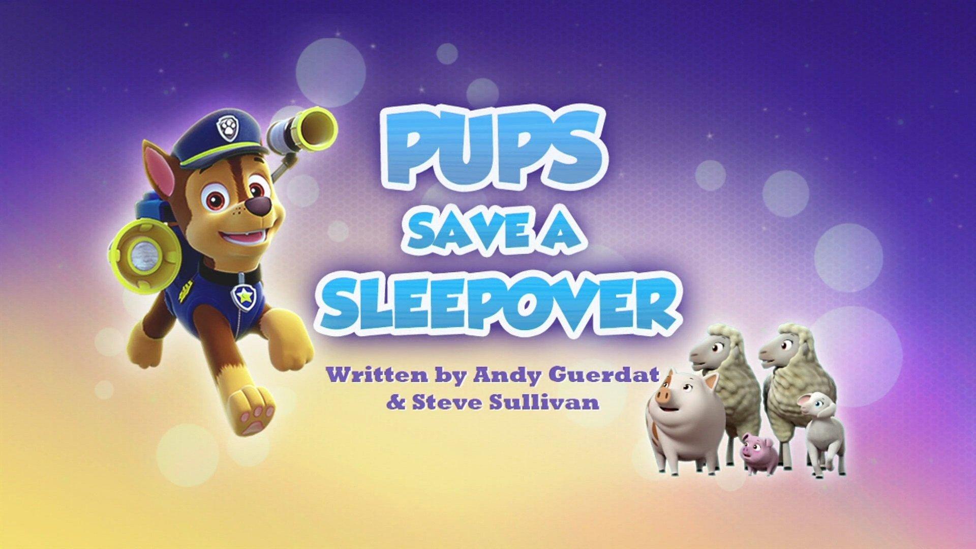 Still from Pups Save a Sleepover
