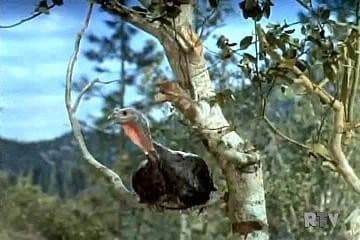 Still from The Thanksgiving Story