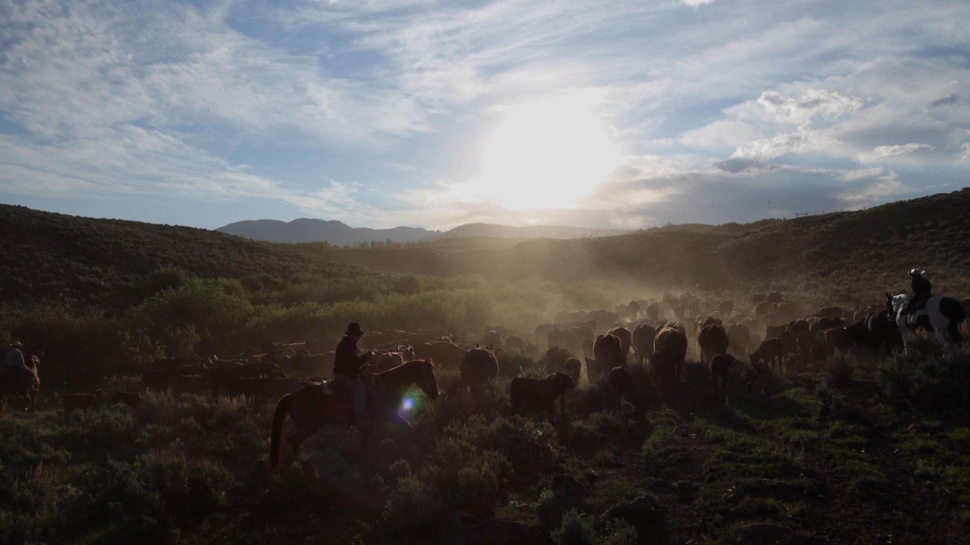 Still from 10/17/2021: Robert Gates, The Green River Drift, Whither Ye Olde English Pub