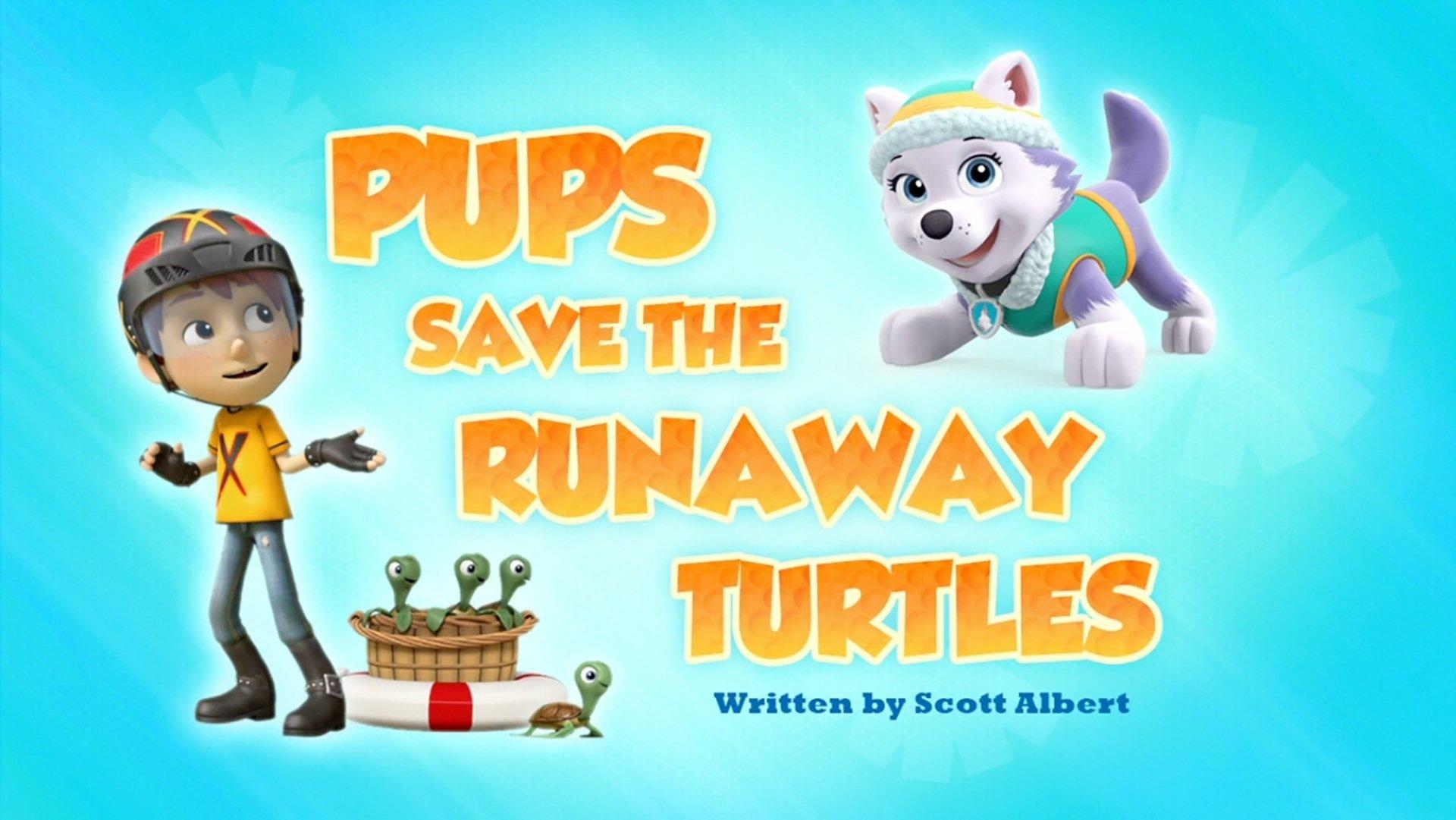 Still from Pups Save the Runaway Turtles