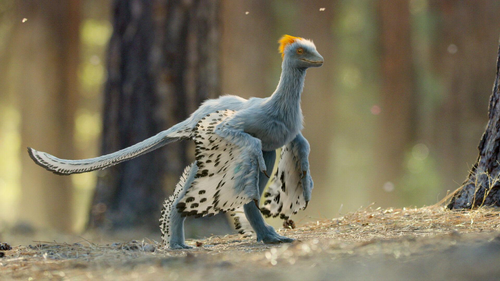 Still from Chapter 6: Out of the Ashes