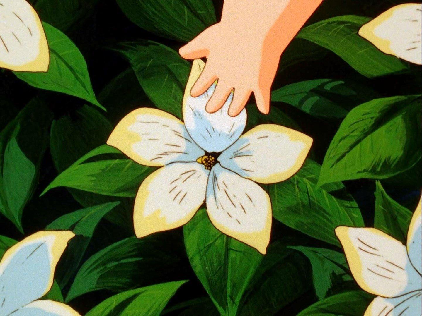 Still from From the Gardenia with Love