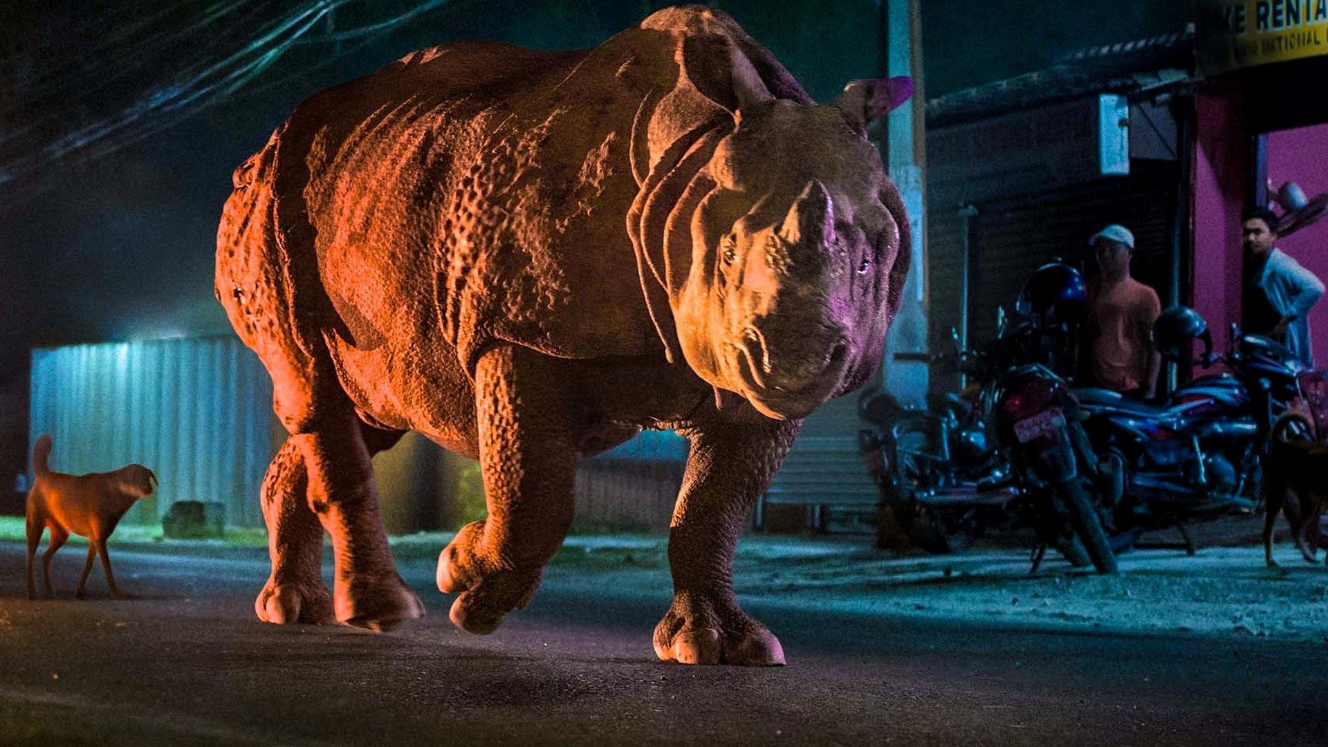 Still from Human