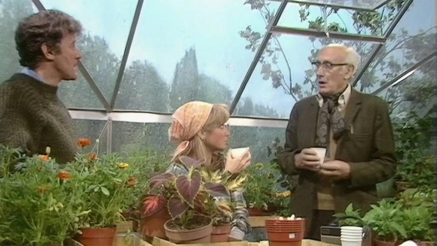 Still from I Talk to the Trees