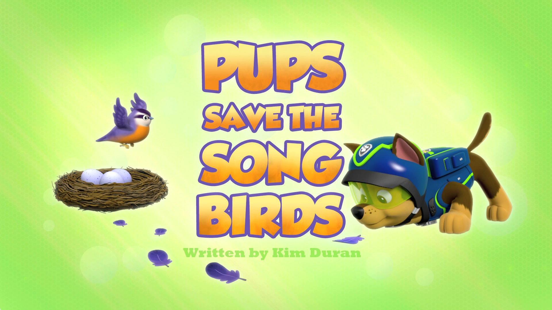 Still from Pups Save the Songbirds