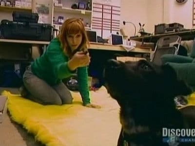 Still from Crimes and Myth-Demeanors (2)
