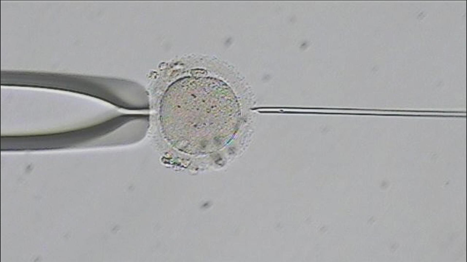 Still from Fighting for Fertility