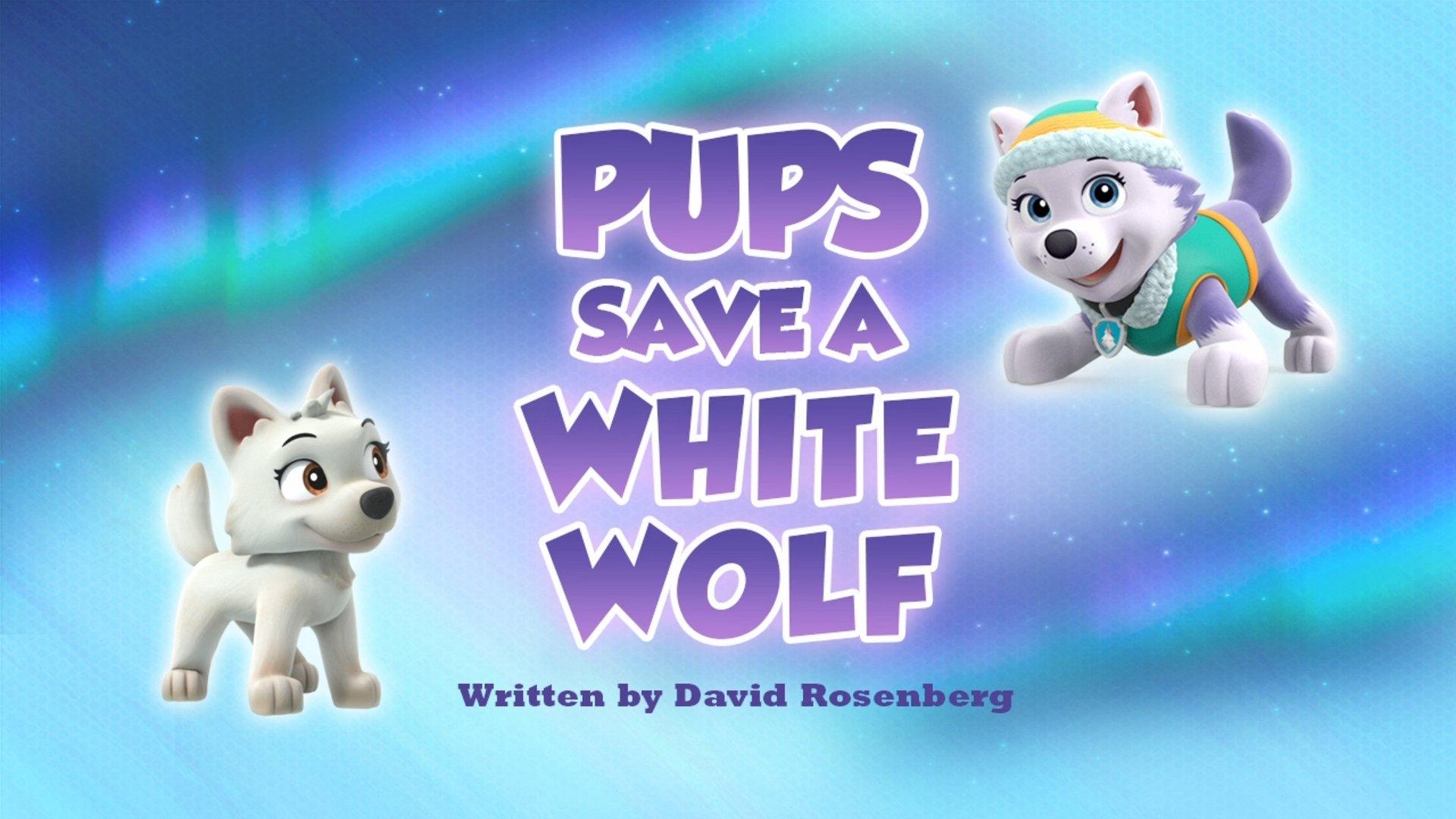 Still from Pups Save a White Wolf