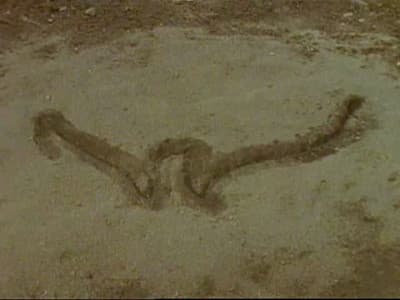 Still from The Tale of the Jagged Sign
