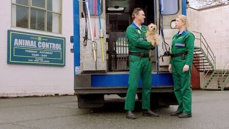 Still from The King Sting