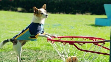 Still from Most Valuable Pup