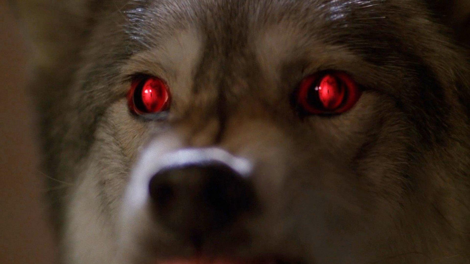 Still from Alpha