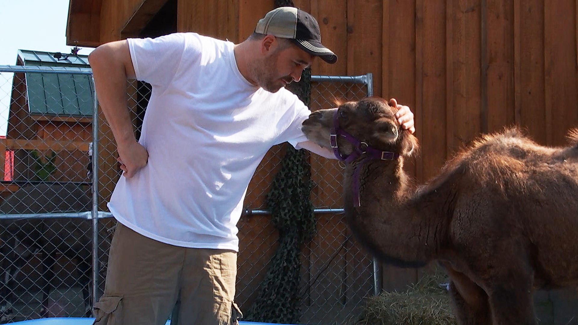 Still from Hump Day