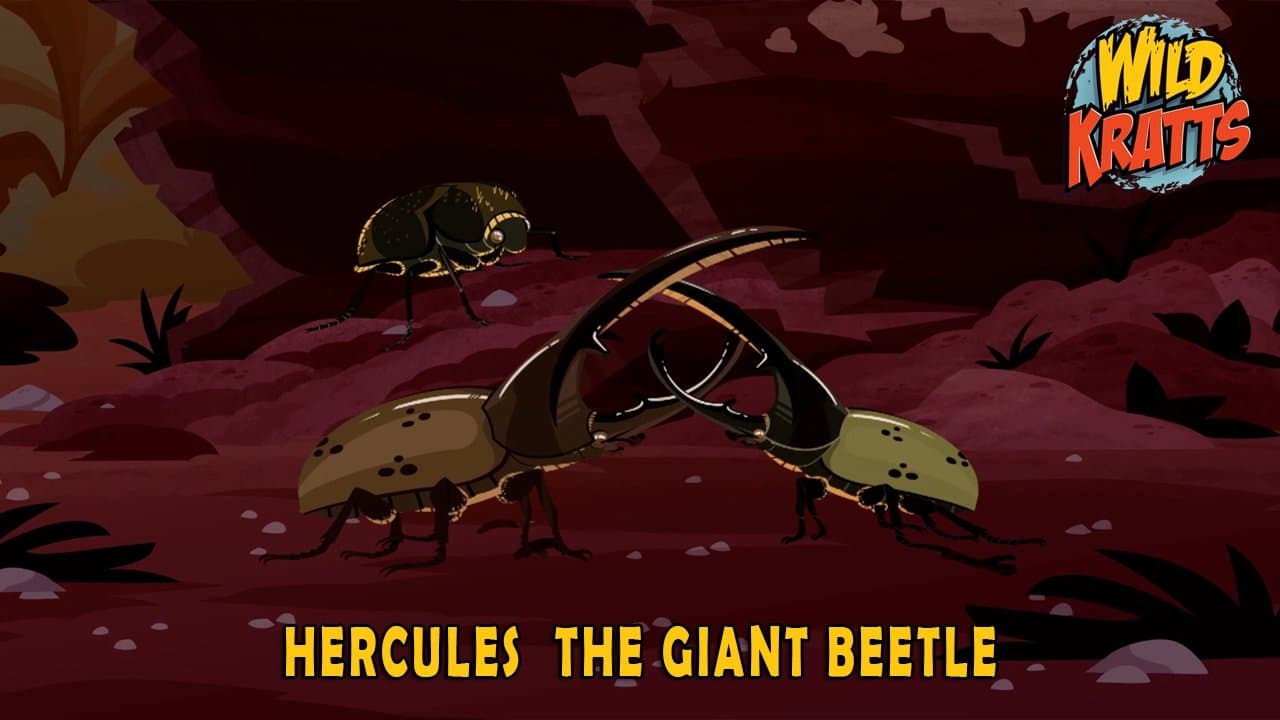 Still from Hercules – The Giant Beetle