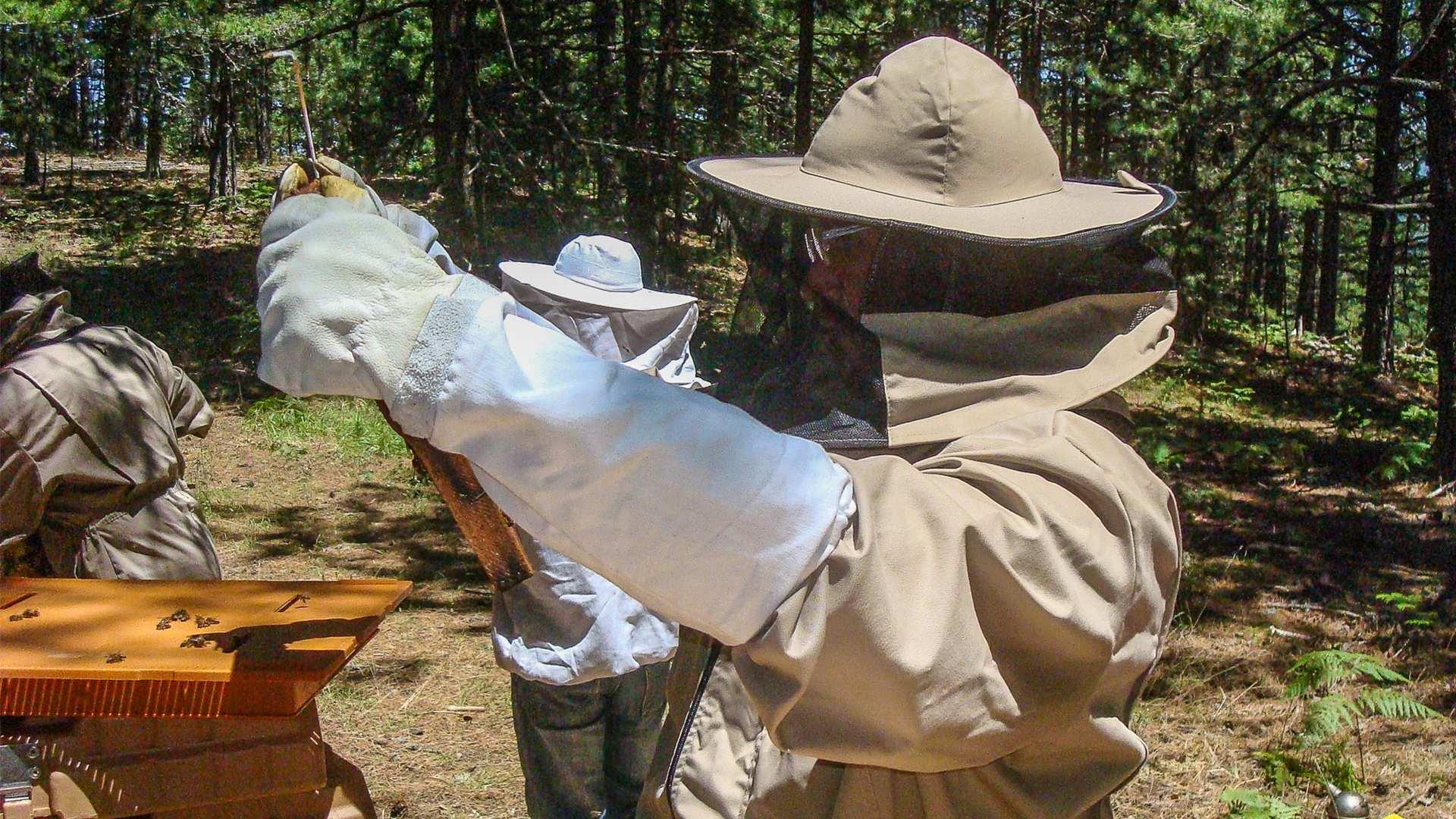 Still from Beekeeping. Trikes. Body Armour
