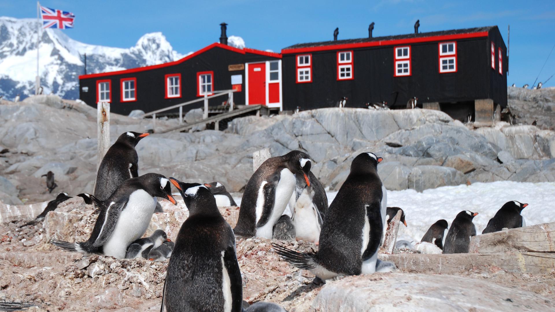 Still from Penguin Post Office