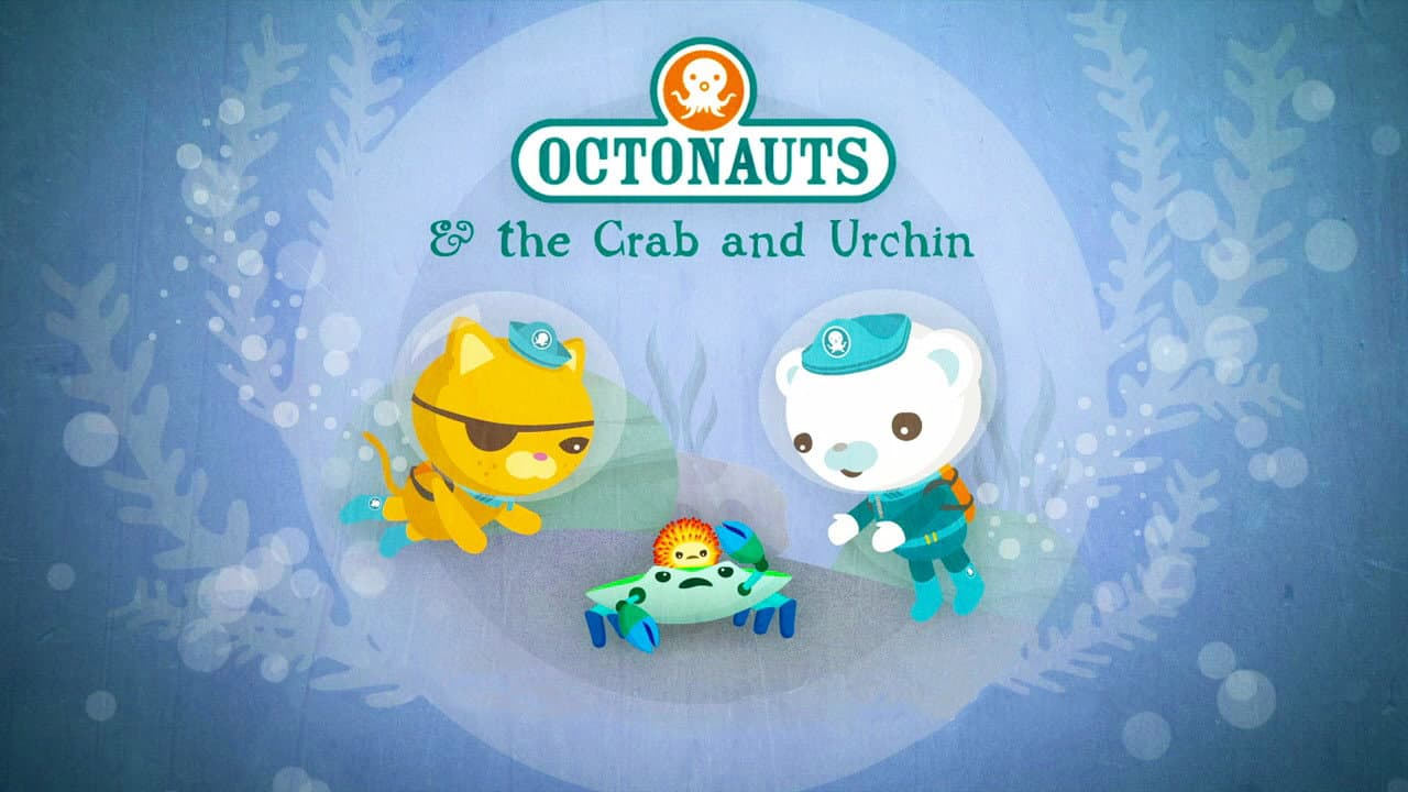 Still from The Crab and the Urchin