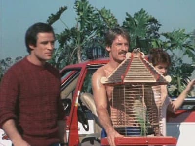 Still from Polly Want an Explanation