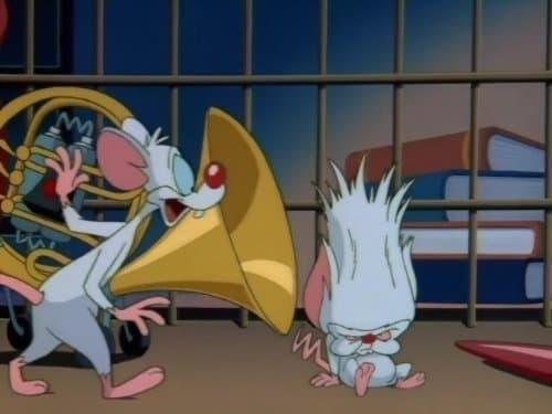 Still from Pavlov's Mice