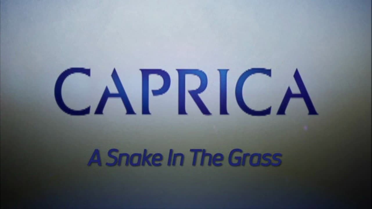 Still from Video Blogs: A Snake In The Grass