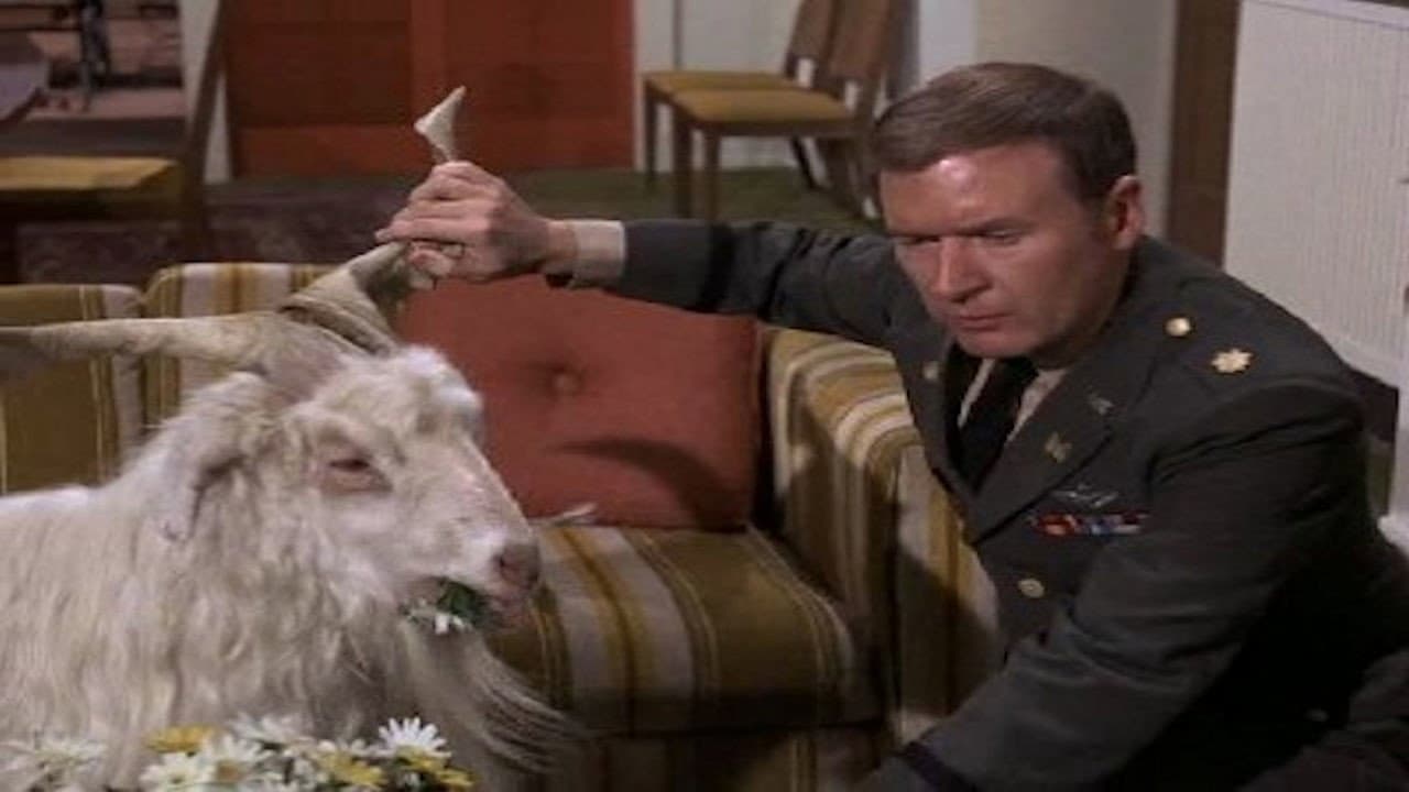 Still from An Astronaut in Sheep's Clothing