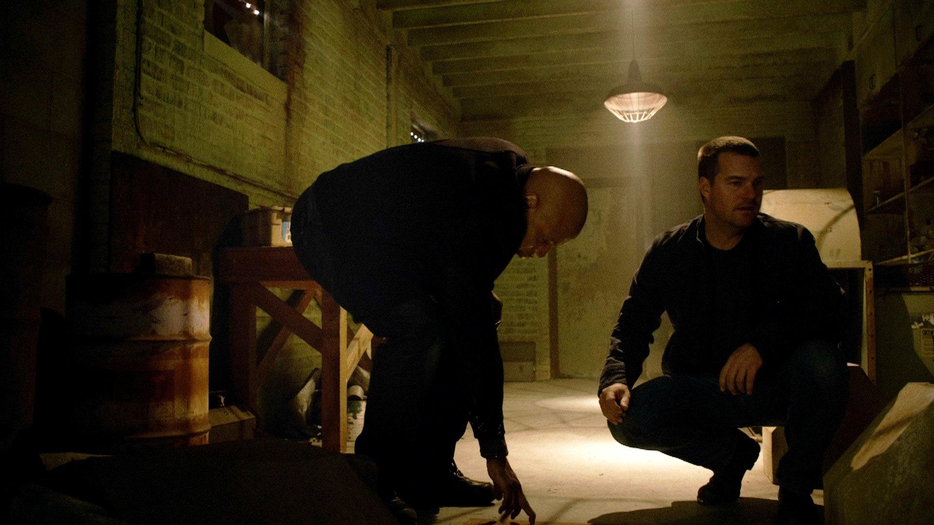 Still from Forest for the Trees