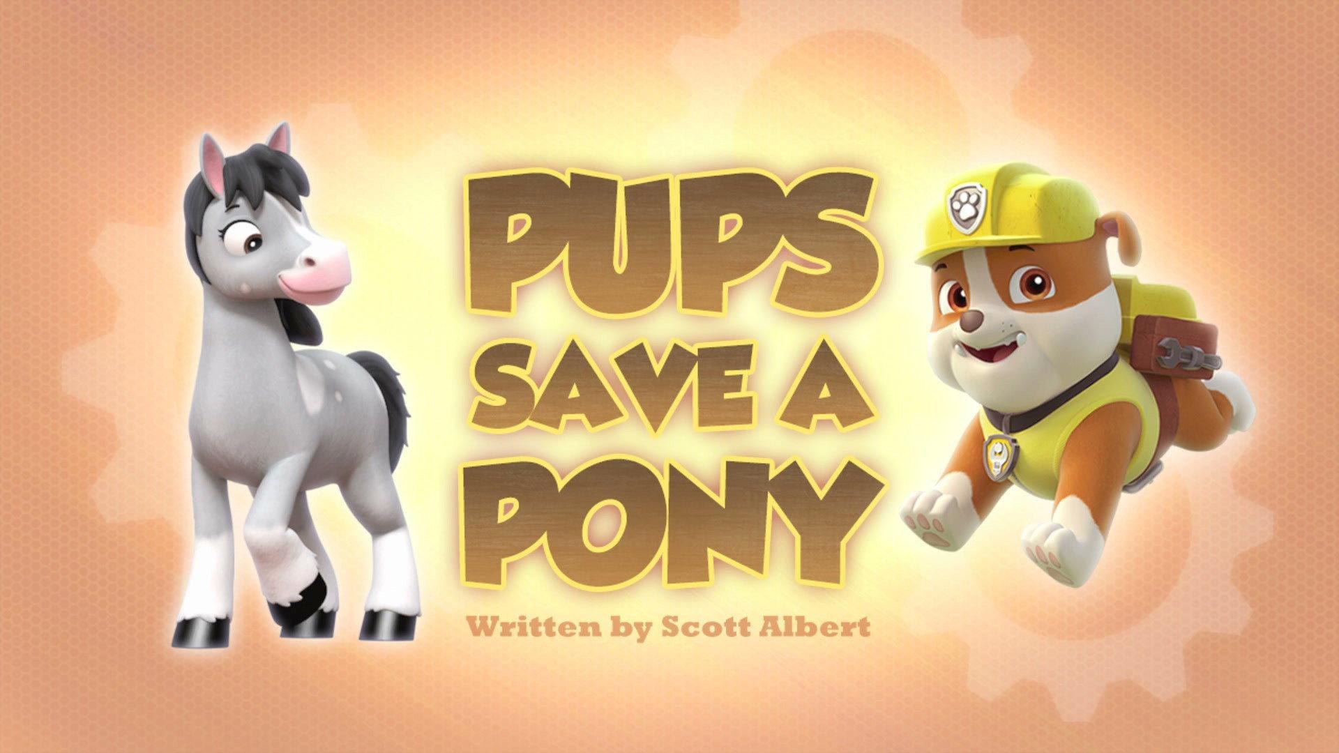 Still from Pups Save a Pony