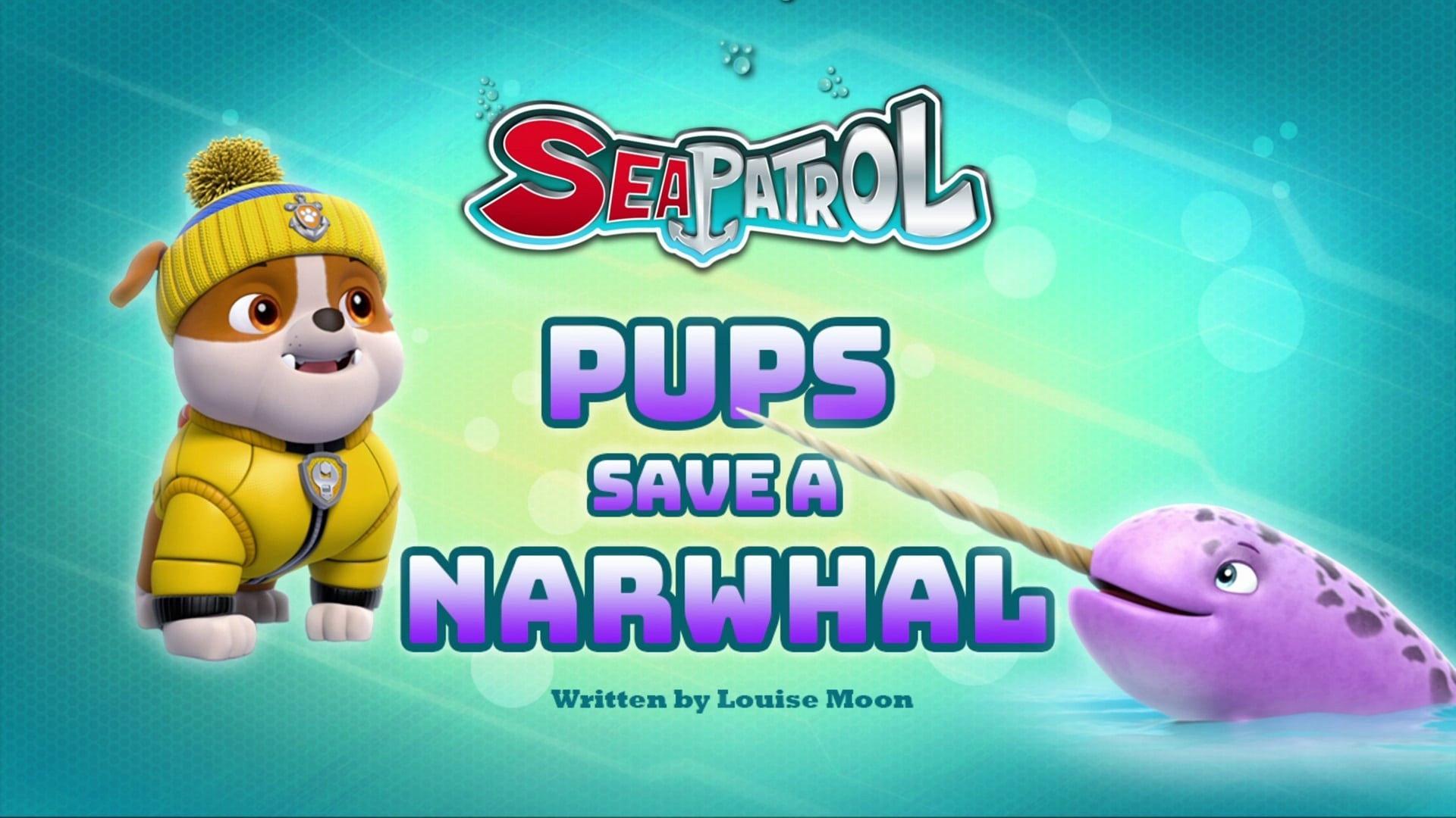Still from Sea Patrol: Pups Save a Narwhal