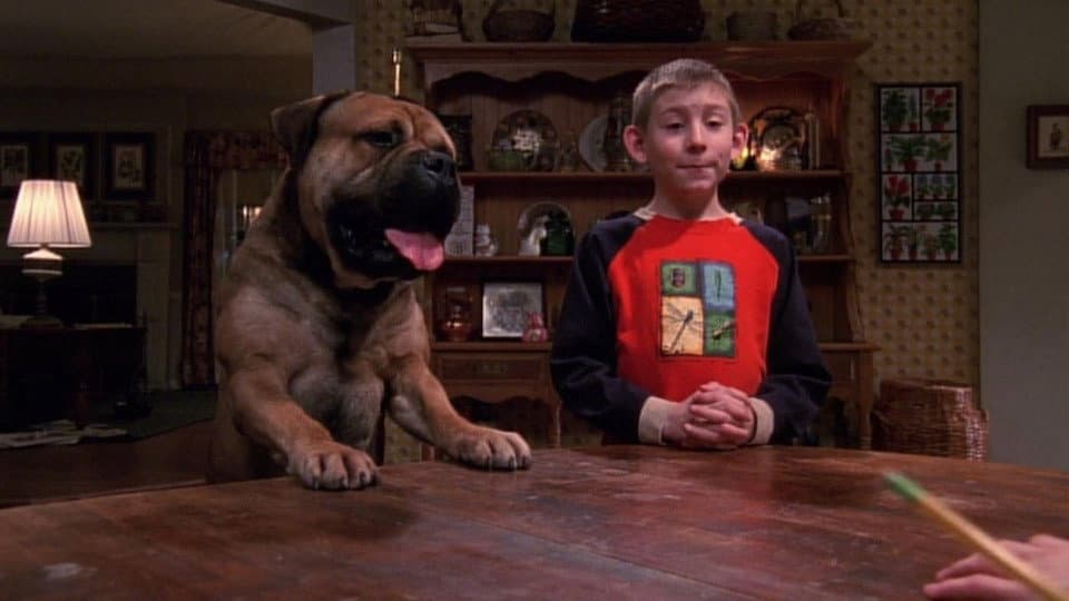 Still from Dewey's Dog