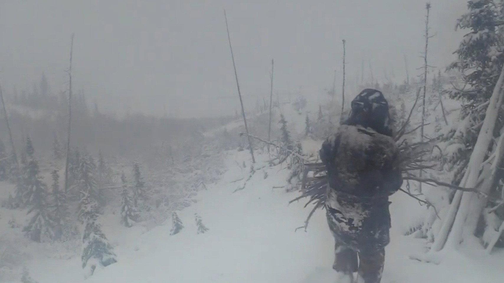 Still from Fight, Flight or Freeze
