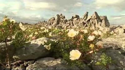Still from Ireland: Sculpted Isle