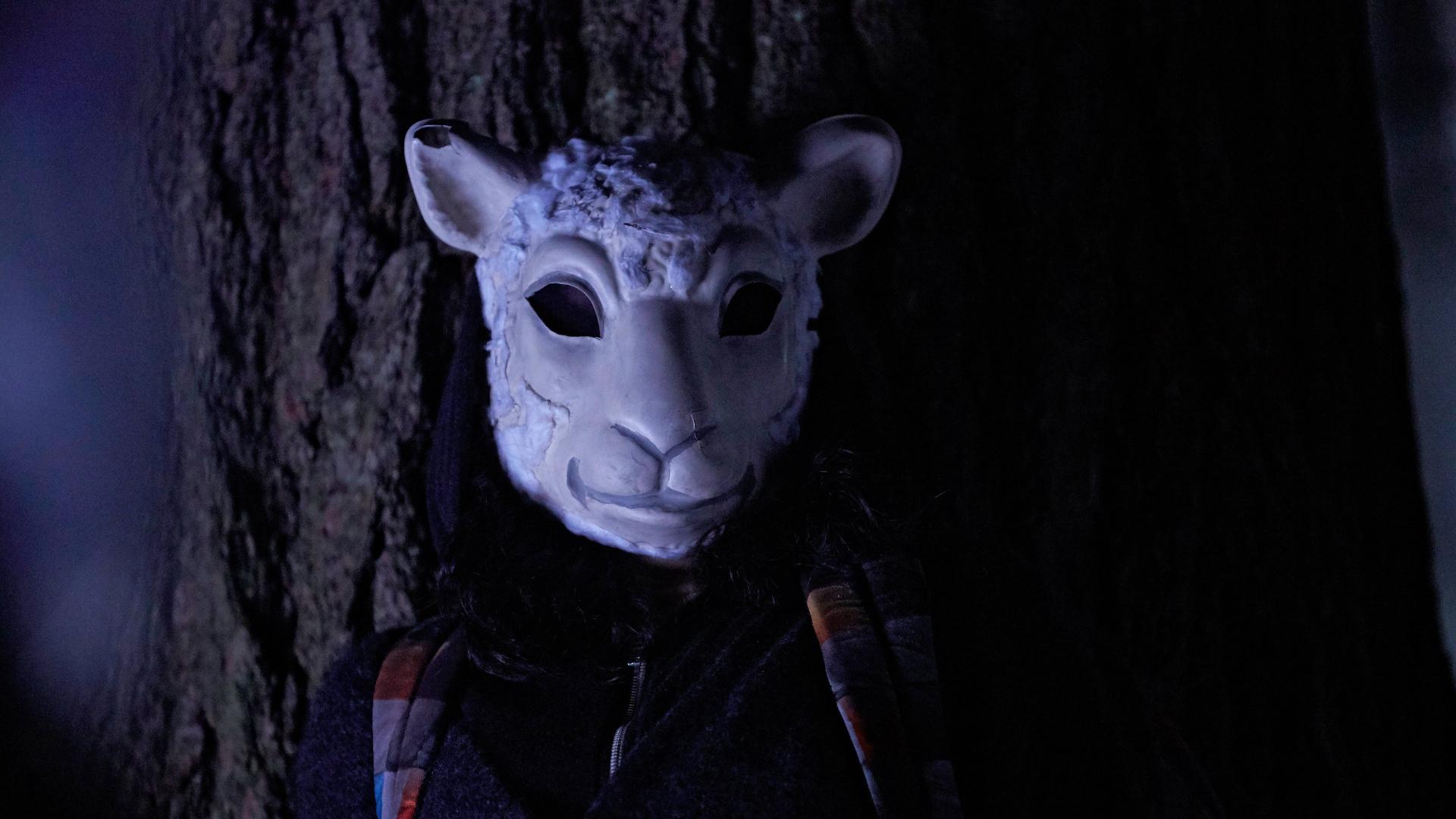 Still from The Collapse of Nature