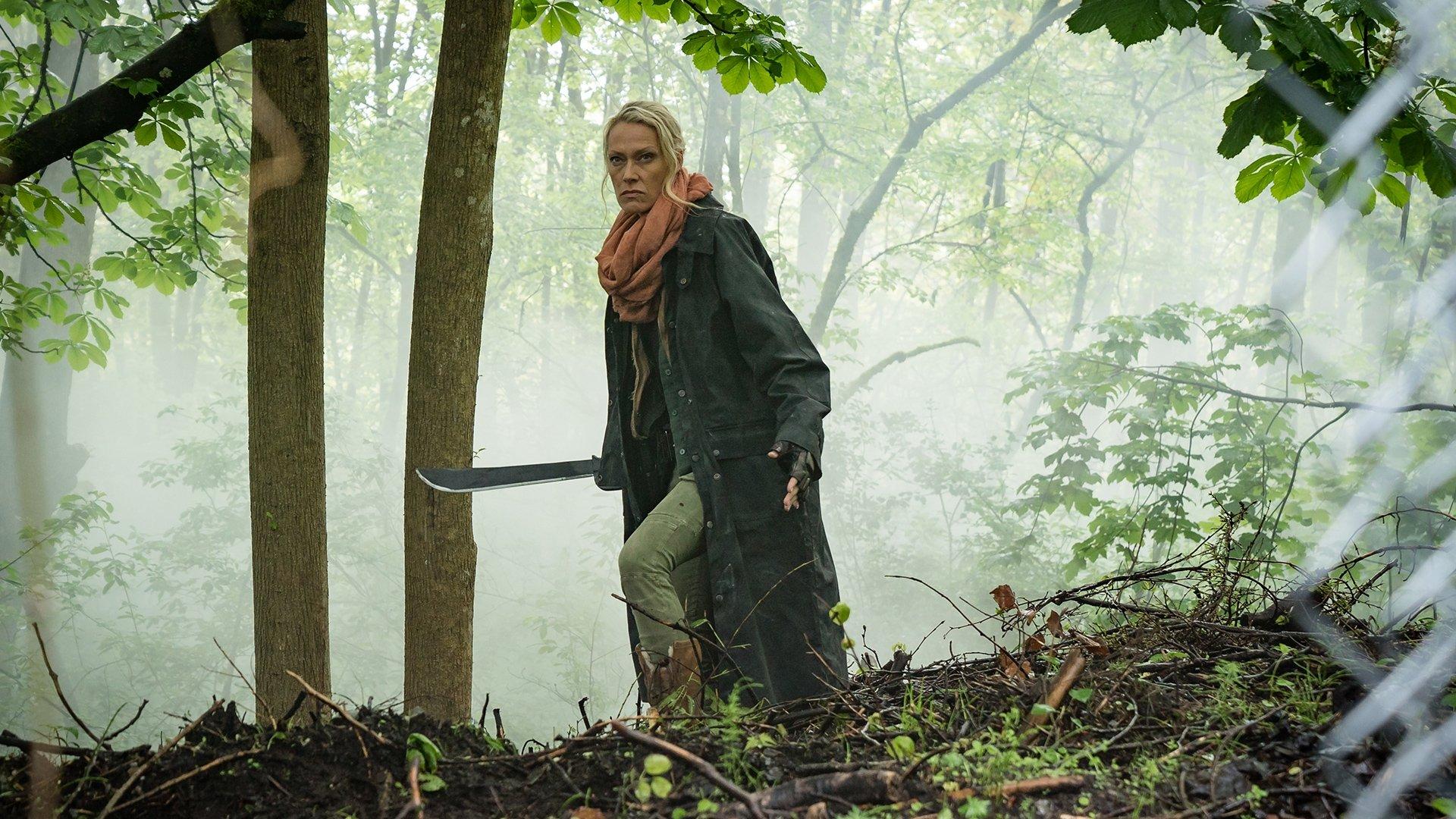 Still from Crooked Falls