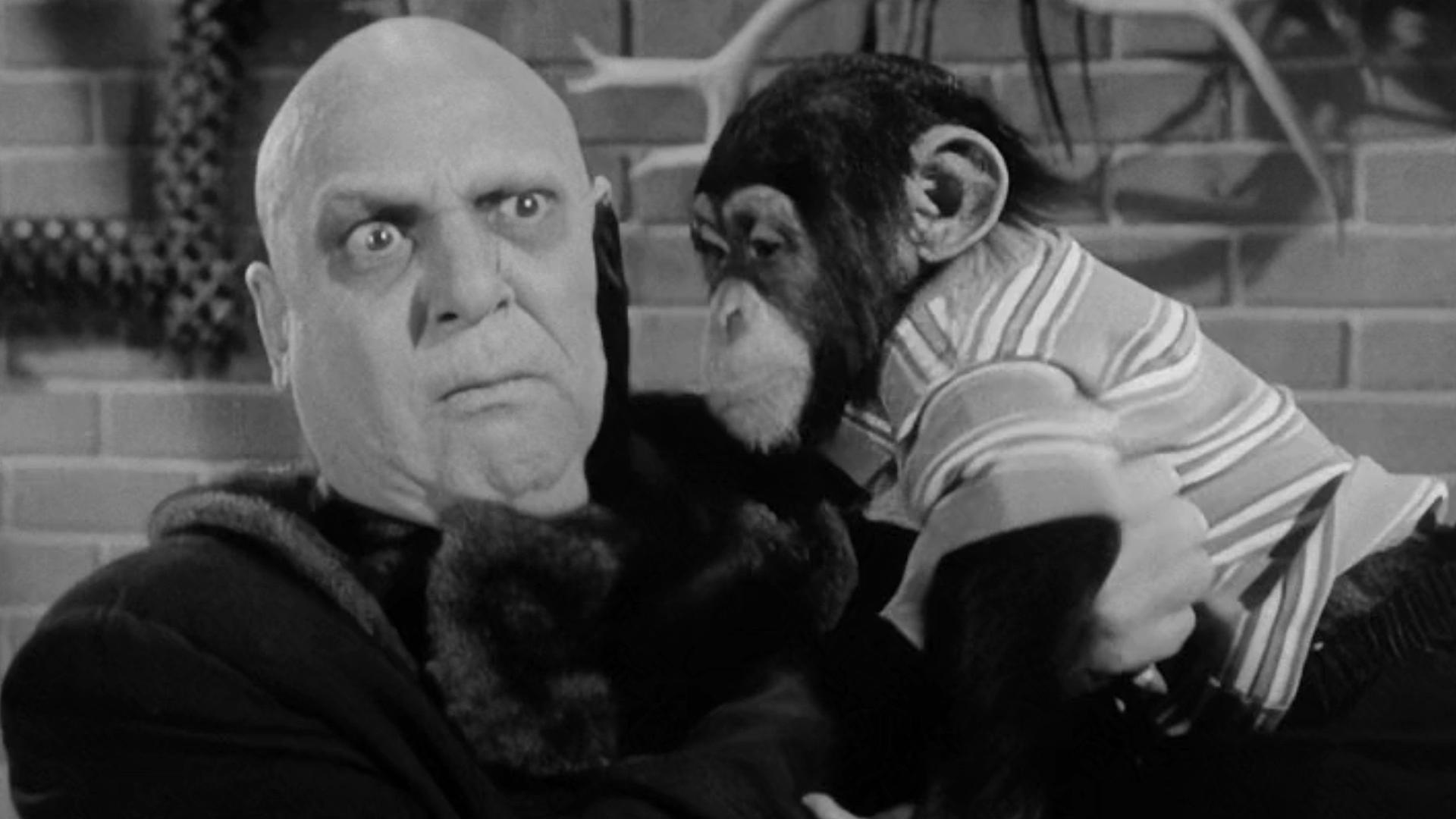 Still from My Son, the Chimp