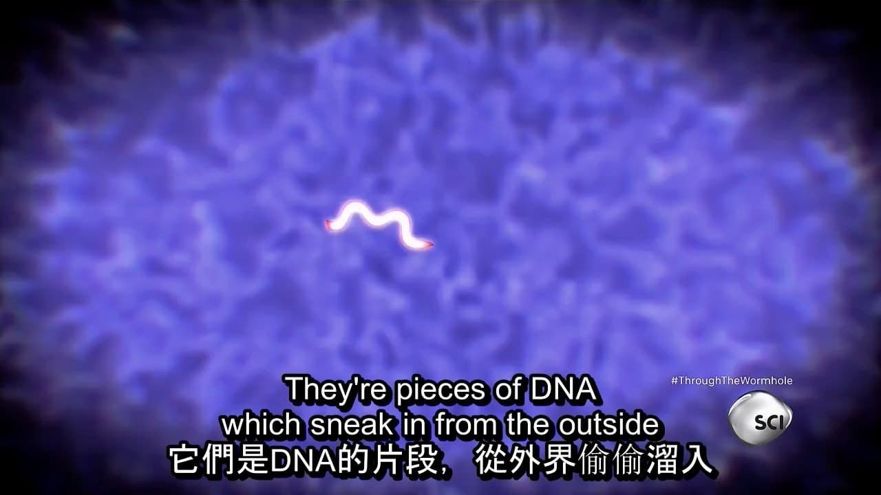 Still from Are There Aliens Inside Us?