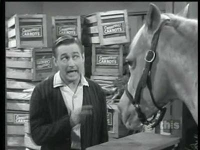 Still from Ed's Juice Stand