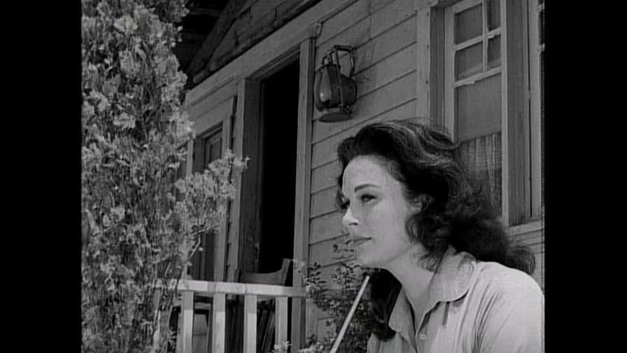 Still from The Lady