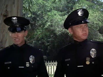 Still from Log 023: Pig Is a Three Letter Word