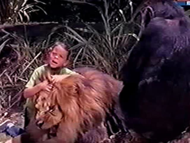 Still from Clarence the Lionhearted