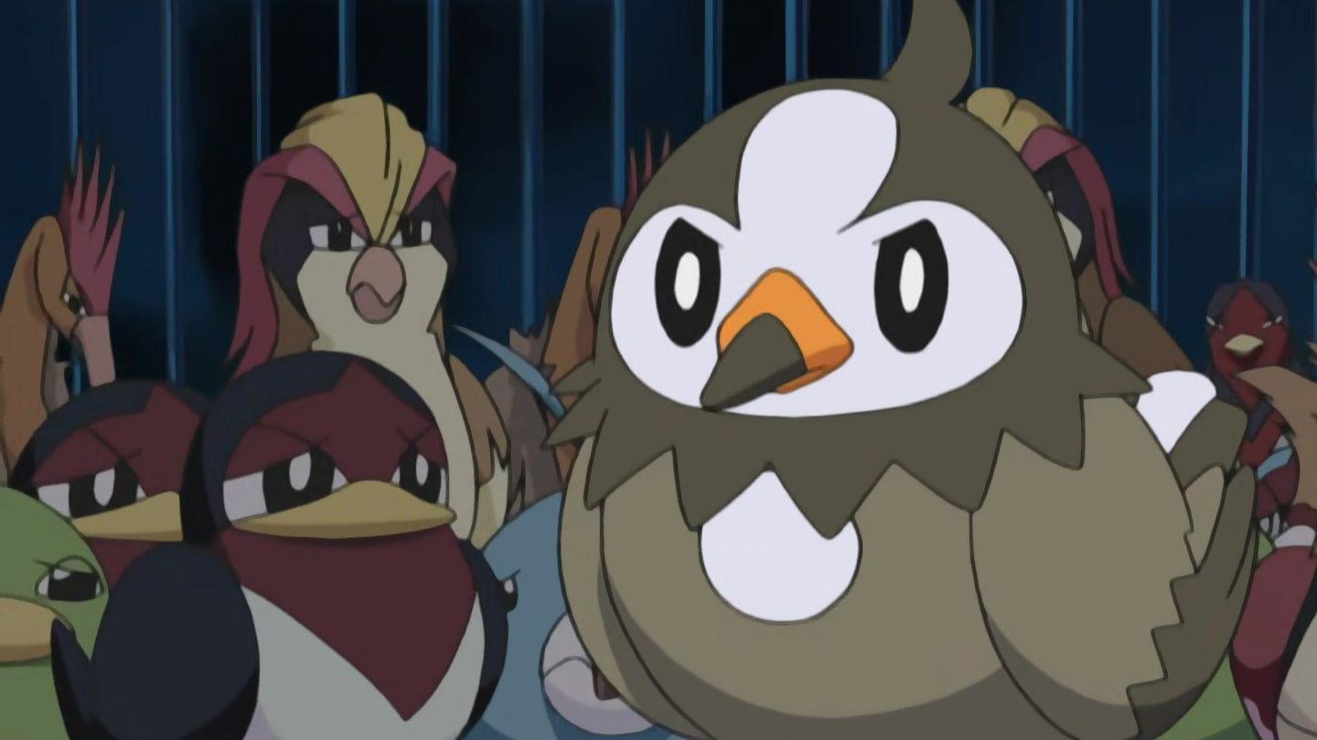Still from A Staravia Is Born!