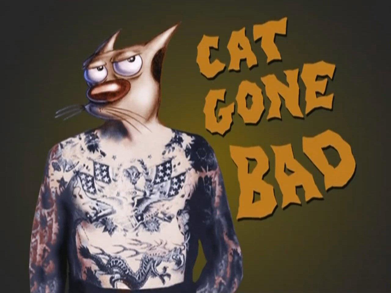 Still from Cat Gone Bad