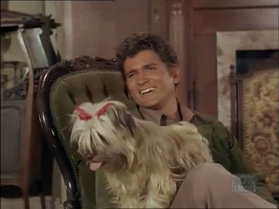 Still from Stage Door Johnnies