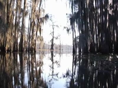 Still from True Blood-Making of the Opening Sequence Featurette