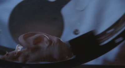 Still from Burt Landau