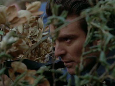 Still from Flesh and Blood