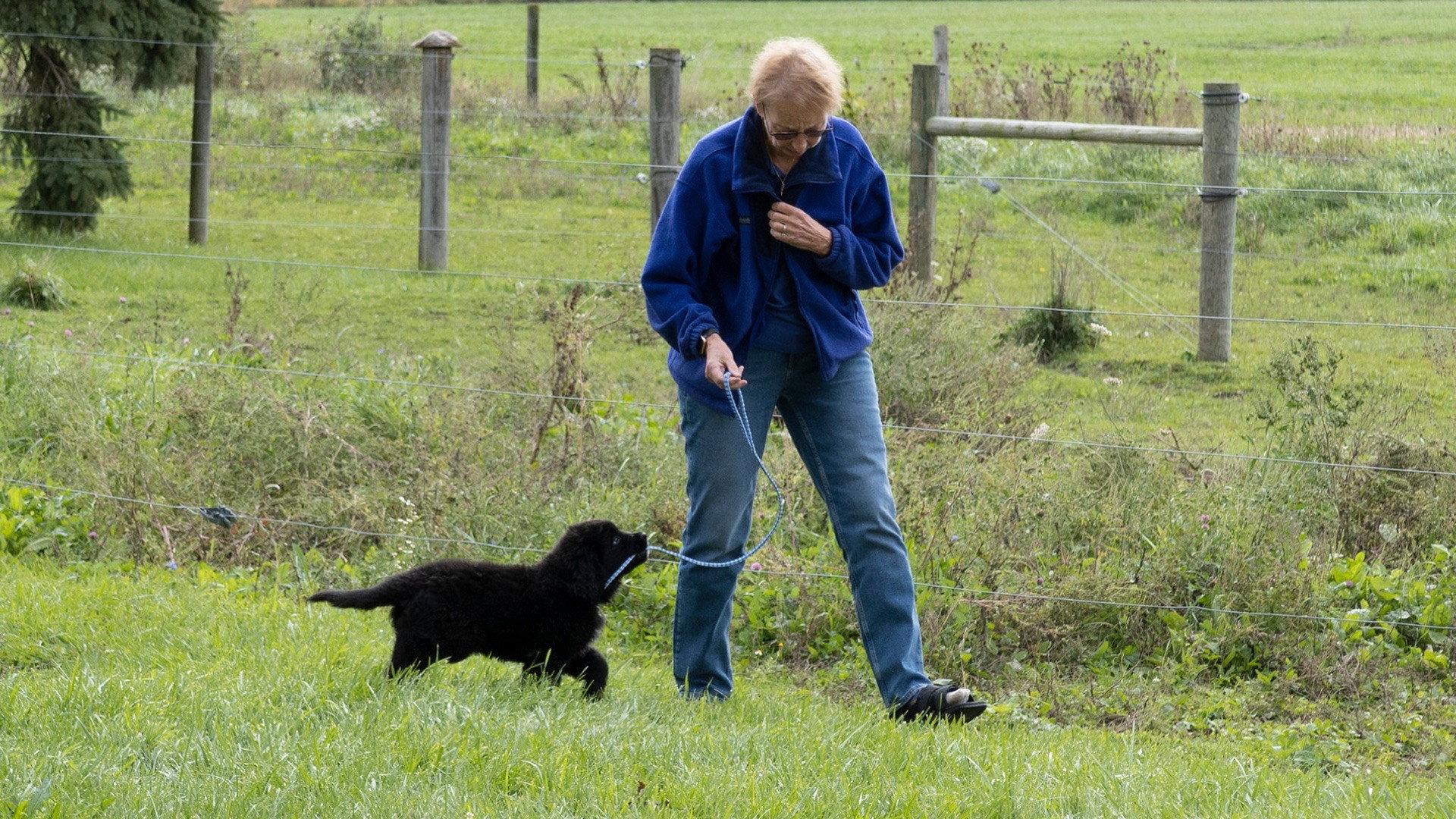 Still from A New Pup In Town