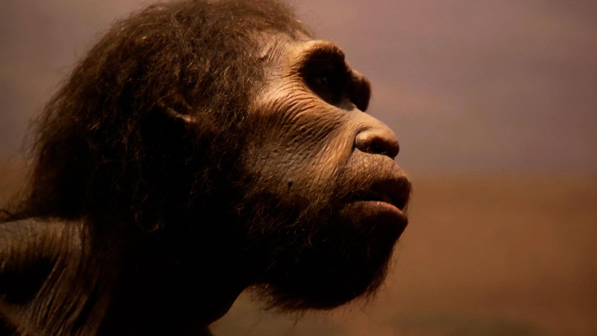 Still from Mysteries of the Missing Link