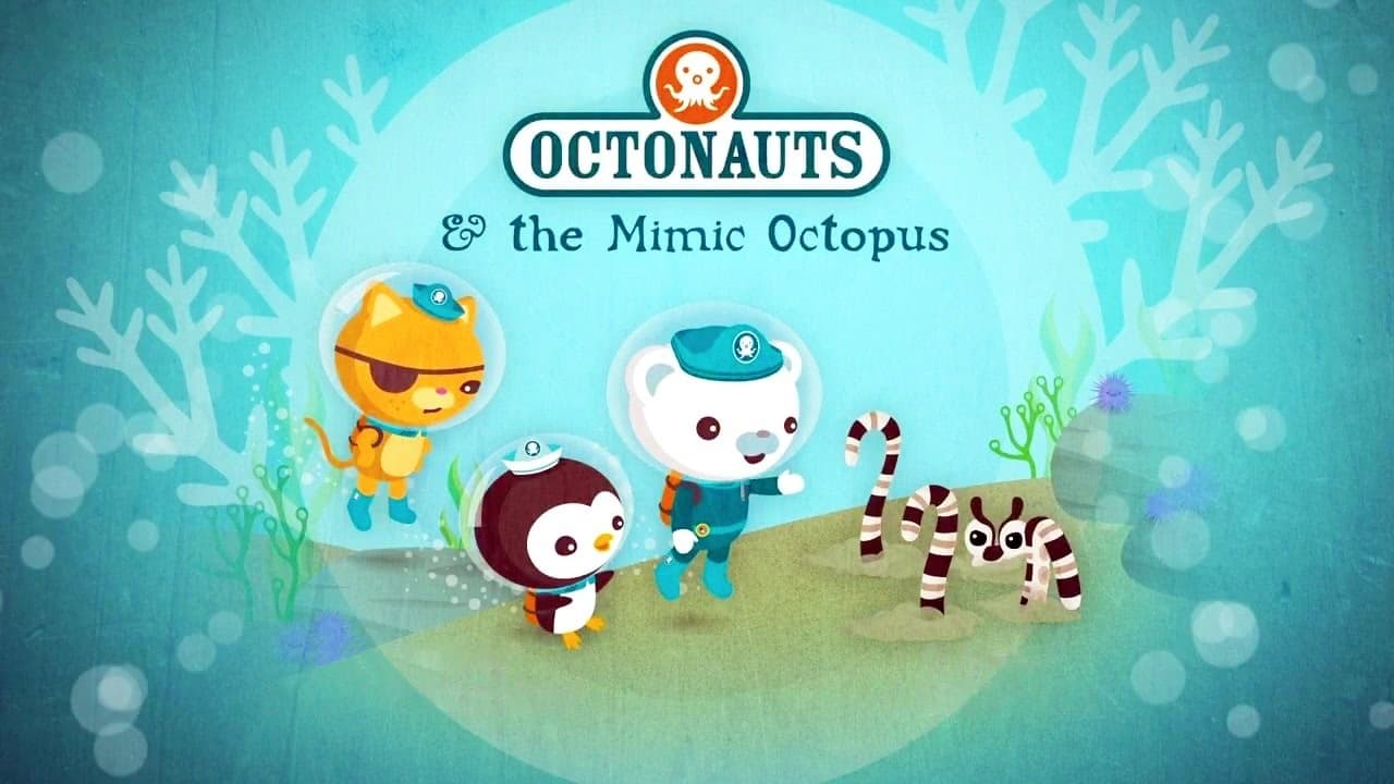Still from The Mimic Octopus