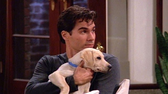 Still from The Truth About Will and Dogs