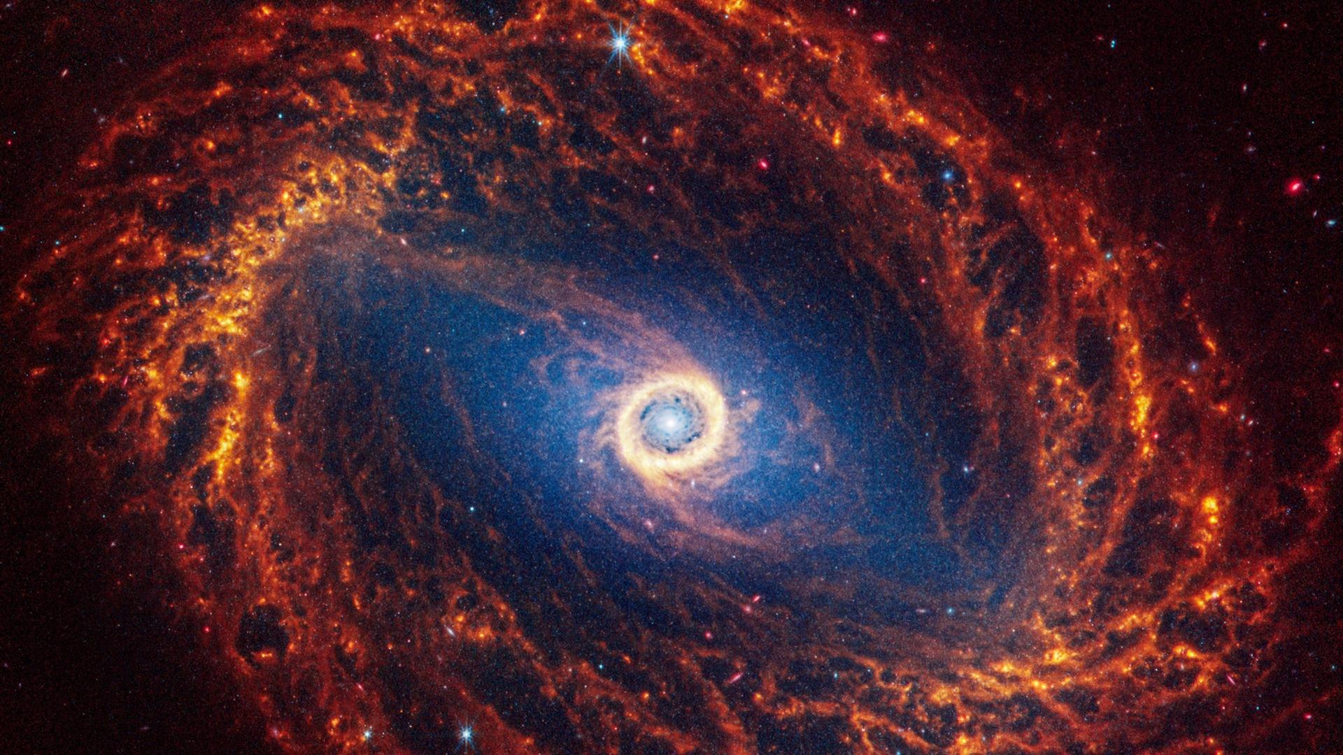 Still from Decoding the Universe: Cosmos